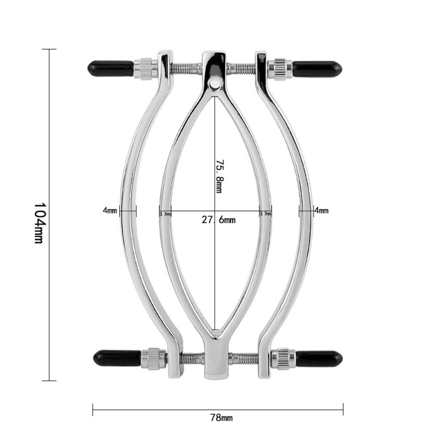 Alloy Clitoral Labia Clamps Metal Chain Leash Clip Fetish Bondage BDSM Sex Toy