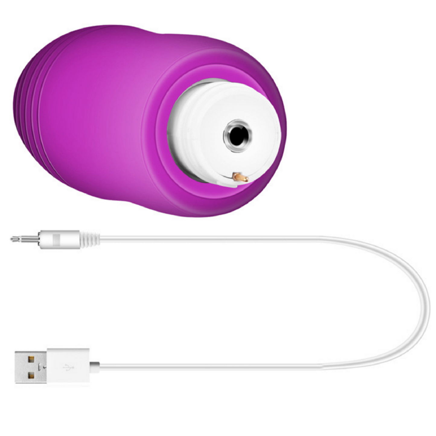 Remote Control Vibrator Wearable Dildo Clit Vibrating Panties USB Female Sex Toy
